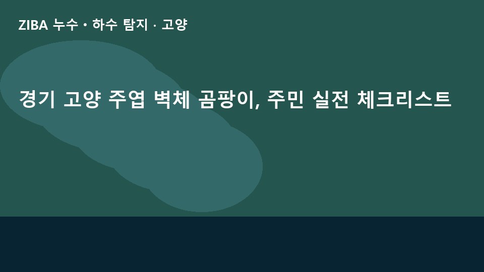 경기 고양 주엽 벽체 곰팡이, 주민 실전 체크리스트
