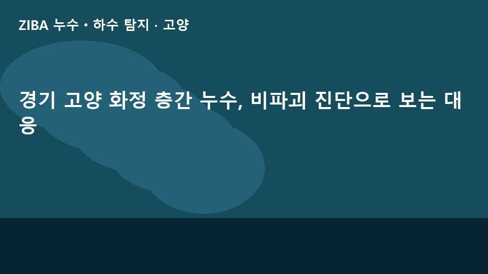 경기 고양 화정 층간 누수, 비파괴 진단으로 보는 대응
