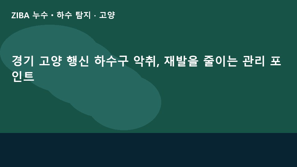 경기 고양 행신 하수구 악취, 재발을 줄이는 관리 포인트