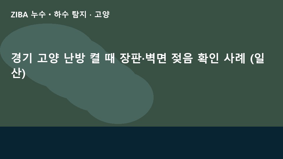 경기 고양 난방 켤 때 장판·벽면 젖음 확인 사례 (일산)