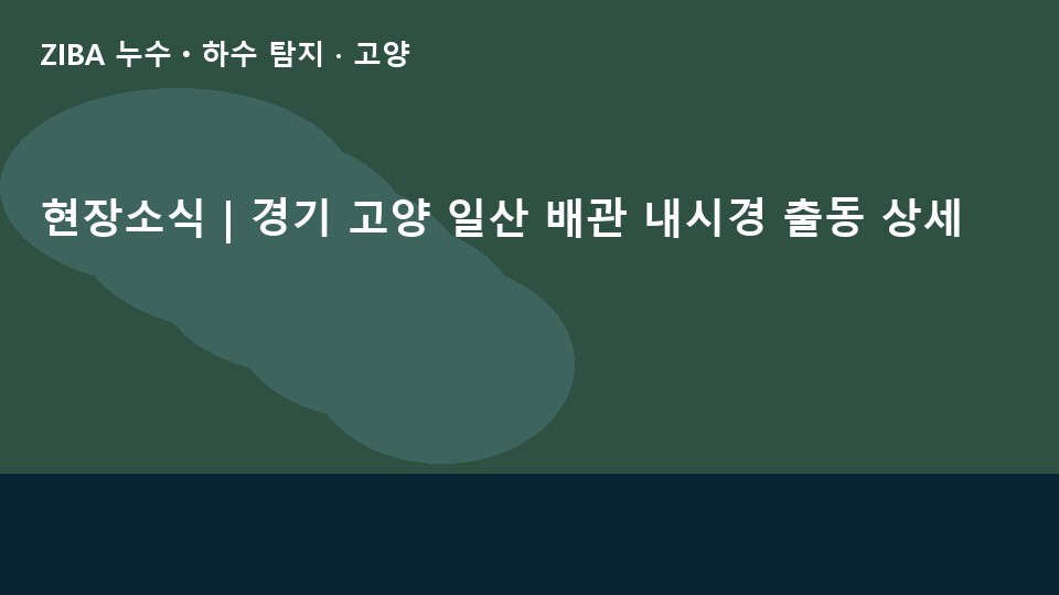현장소식 | 경기 고양 일산 배관 내시경 출동 상세