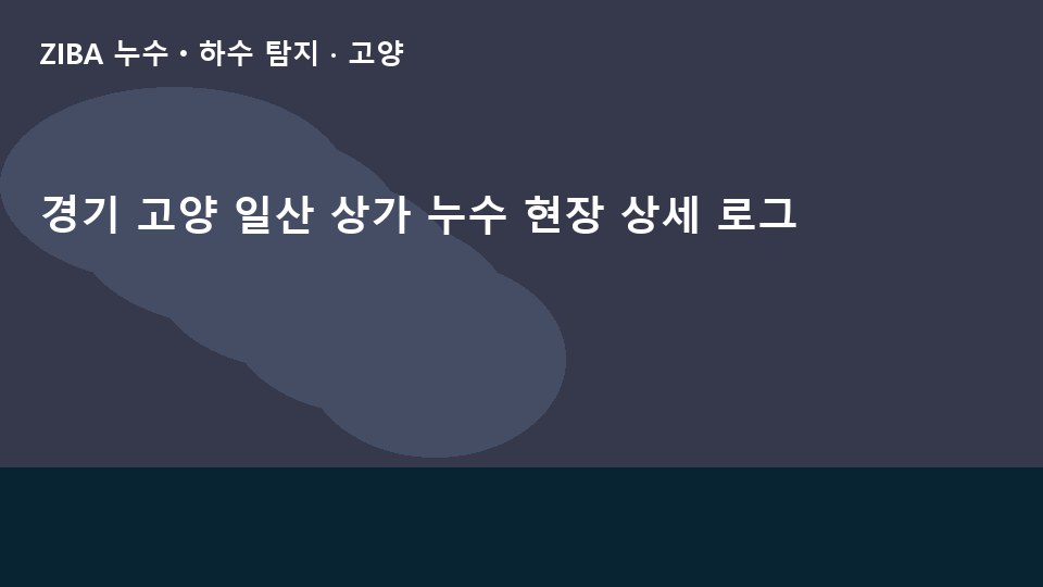 경기 고양 일산 상가 누수 현장 상세 로그