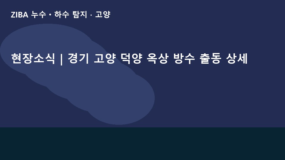 현장소식 | 경기 고양 덕양 옥상 방수 출동 상세