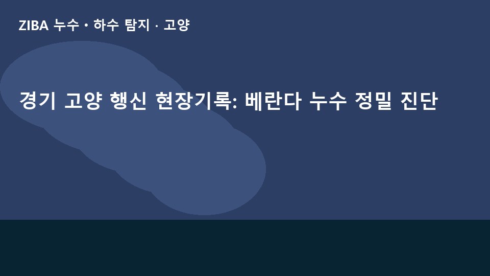 경기 고양 행신 현장기록: 베란다 누수 정밀 진단