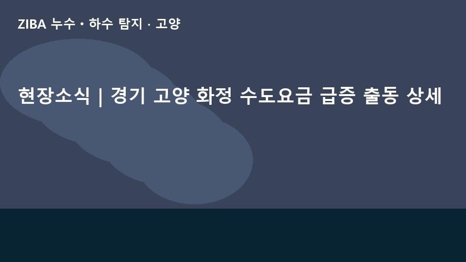 현장소식 | 경기 고양 화정 수도요금 급증 출동 상세